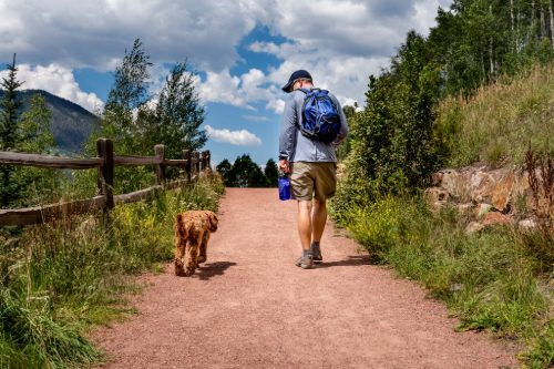 man walking labradoodle dog on a hiking trail