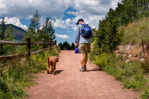 man walking labradoodle dog on a hiking trail