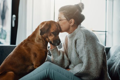 young woman kissing her dog's head at home