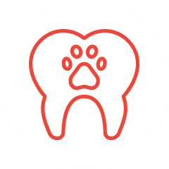 Dental Care Icon Dental Tooth Care Icon
