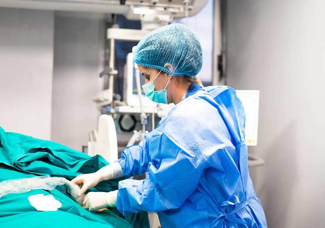 veterinary tech checking on patient during surgery