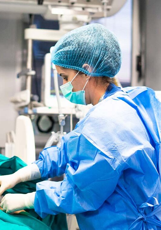 veterinary tech checking on patient during surgery